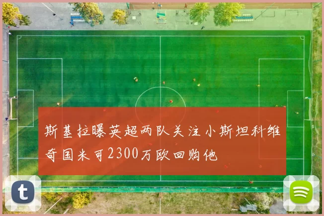 斯基拉曝英超两队关注小斯坦科维奇国米可2300万欧回购他
