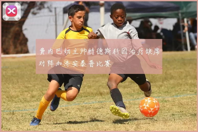 费内巴切主帅特德斯科因治疗缺席对阵加济安泰普比赛