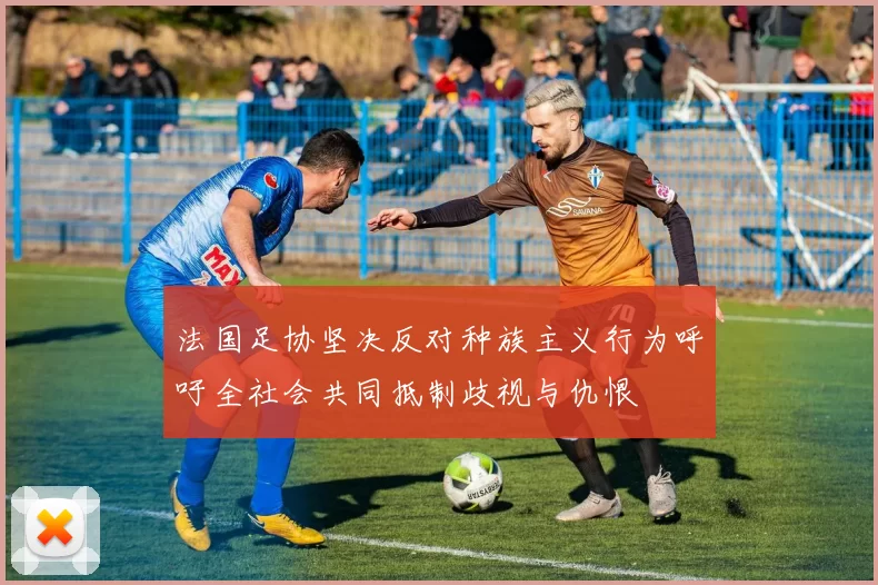 法国足协坚决反对种族主义行为呼吁全社会共同抵制歧视与仇恨